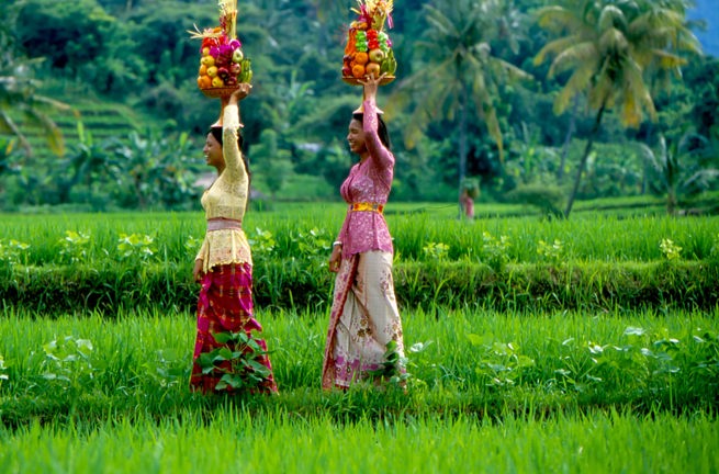 bali - bali rismark_kvinde_02