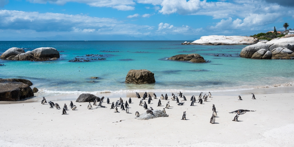 Bouldes Beach, Sydafrika