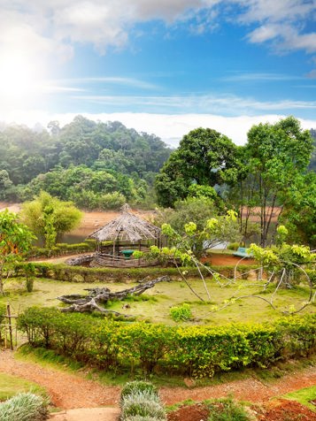 indien - periyar_bjerg_omraade_02