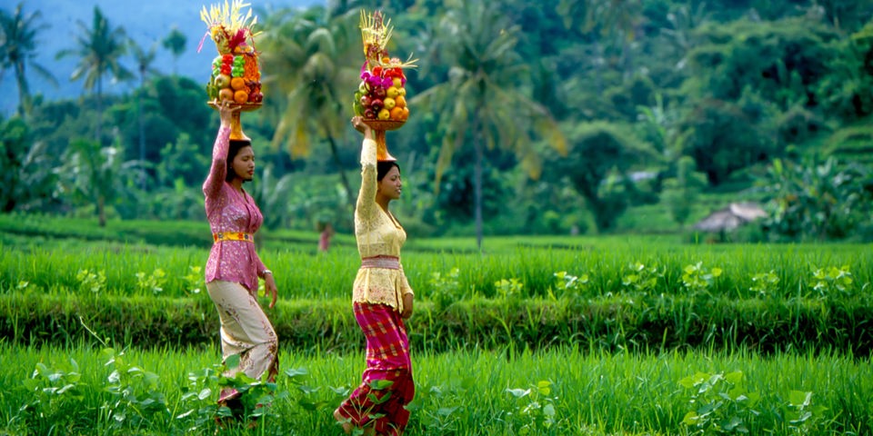 bali - bali_rismark_kvinde_03