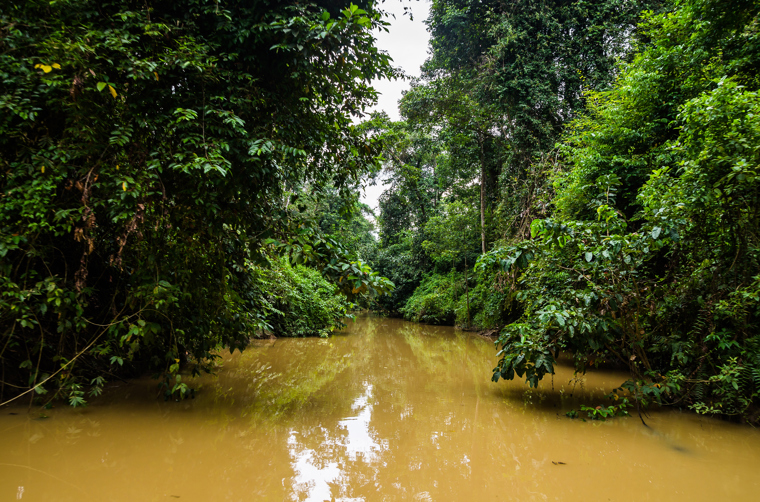 kinabatangan_flod_01