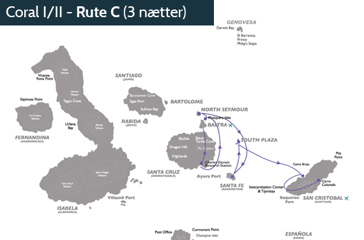 Coral_rute_C