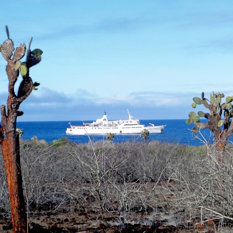 mv galapagos legend_skib_01