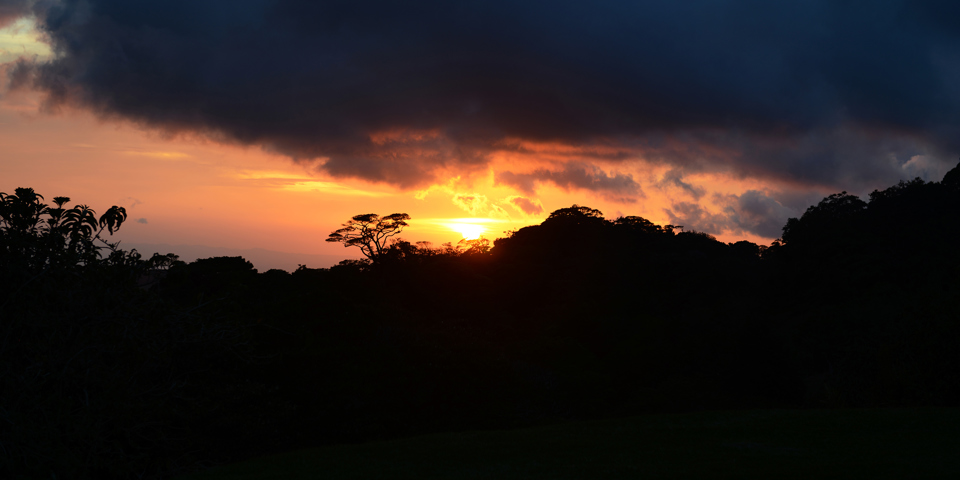 costa rica - monteverde_regnskov_01