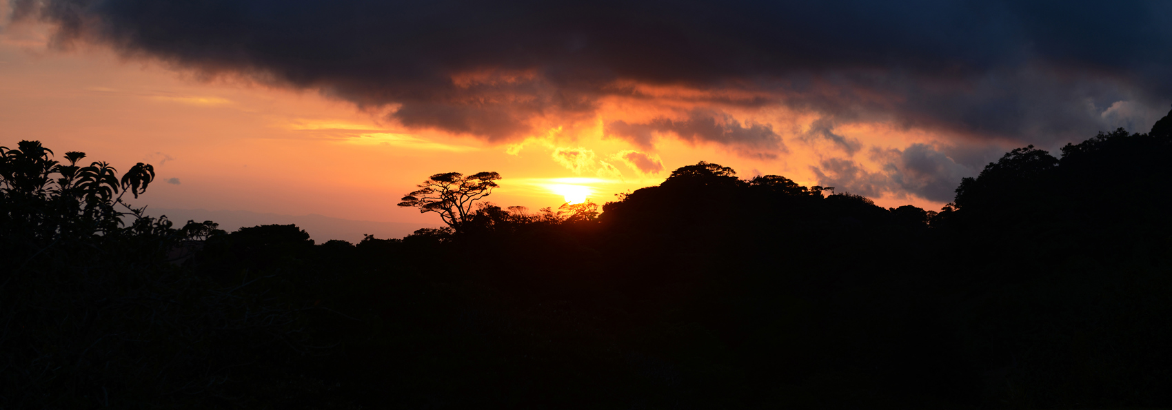 costa rica - monteverde_regnskov_01