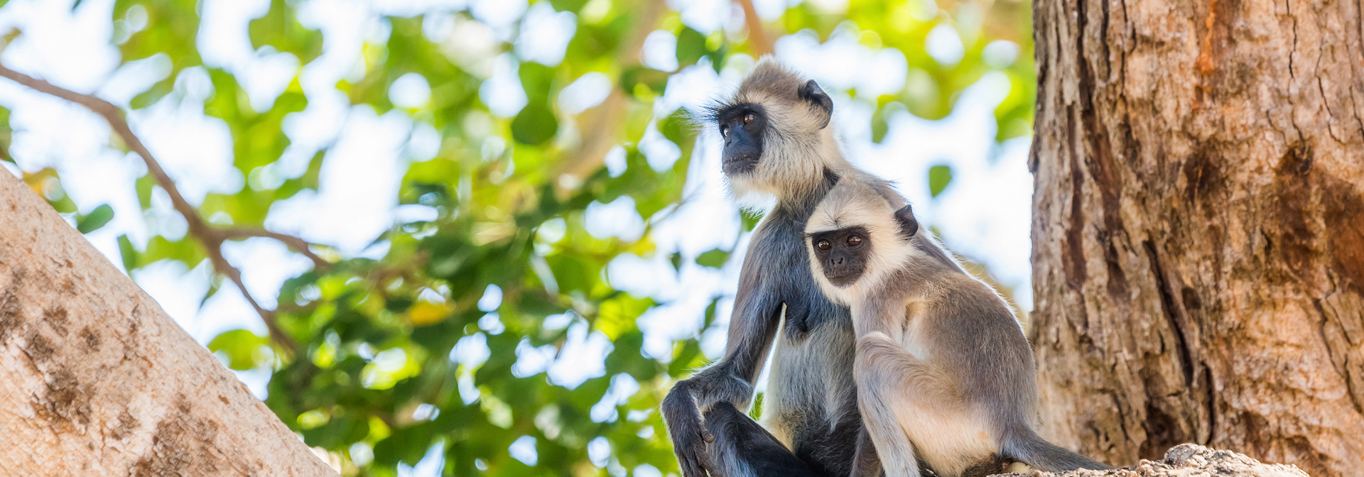 sri lanka - udawalawe_nationalpark_03