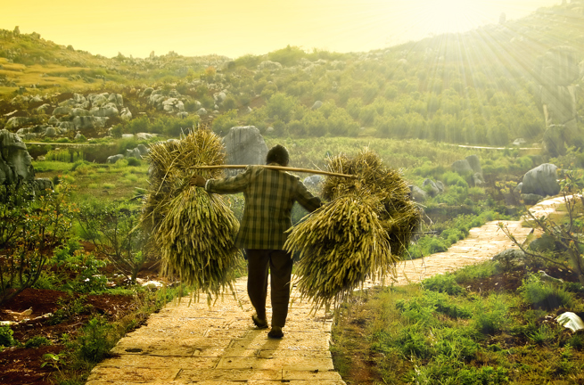 Vietnam - vietnam_befolkning_mand_farmer_01