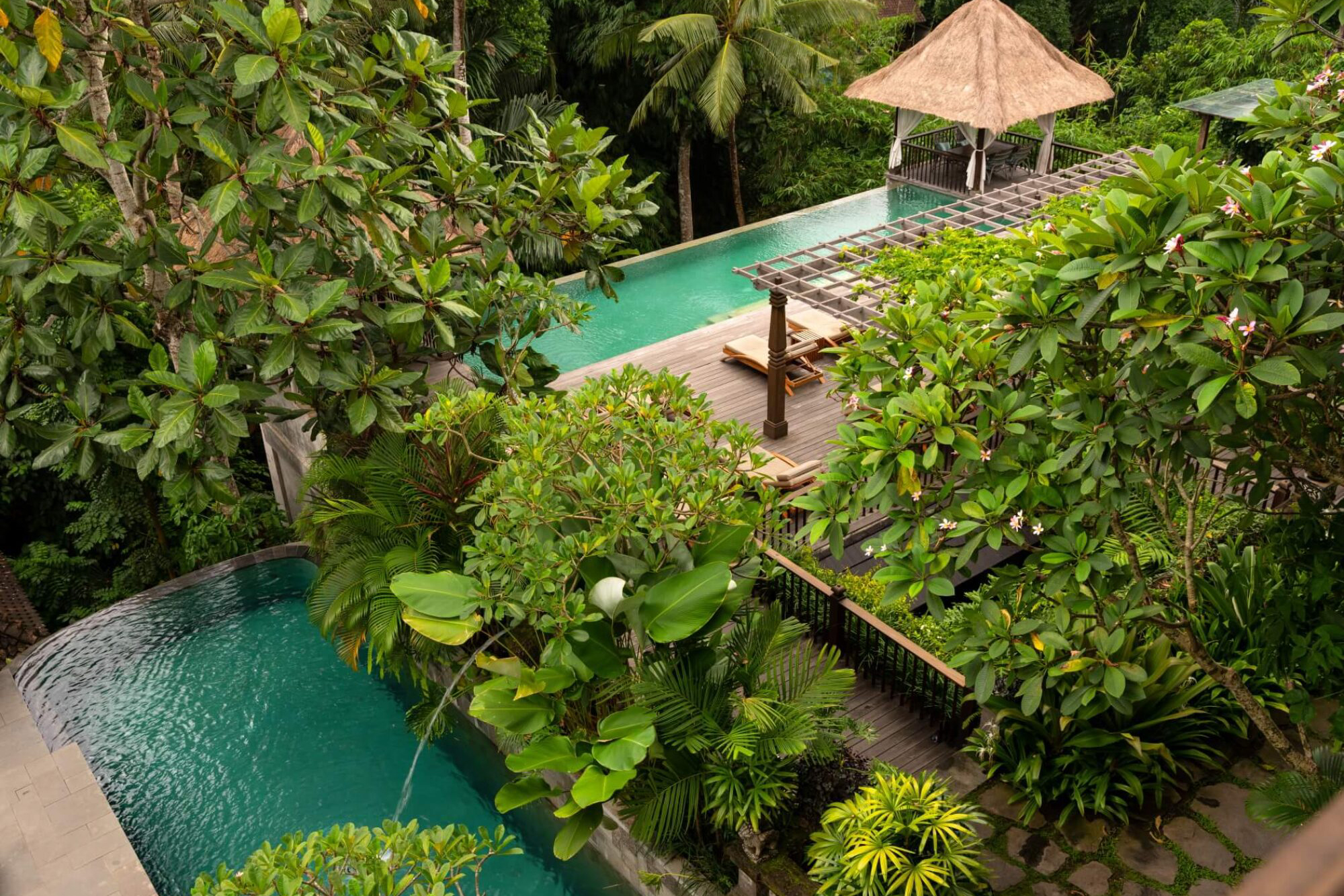 bali - Adiwana resort_pool_01