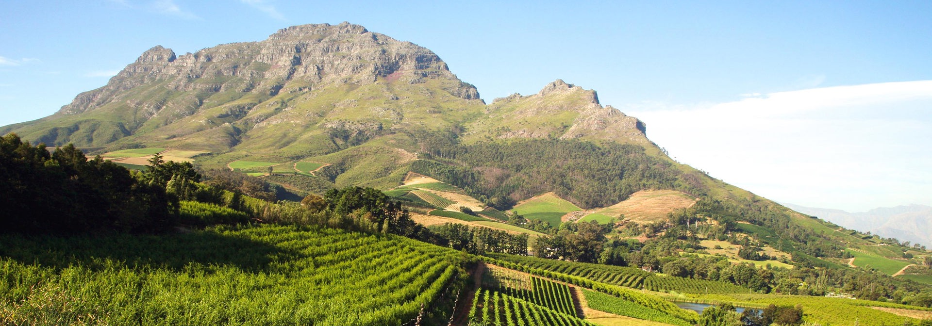 sydafrika - franschhoek_vinmark_01