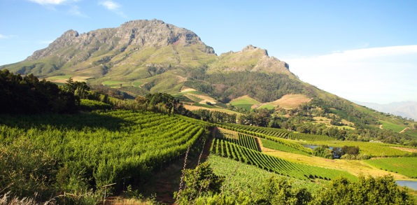 sydafrika - franschhoek_vinmark_01