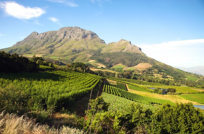 sydafrika - franschhoek_vinmark_01