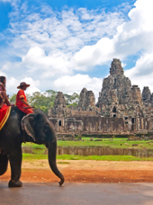 colombia - siem reap_angkor wat tempel_elefant_01