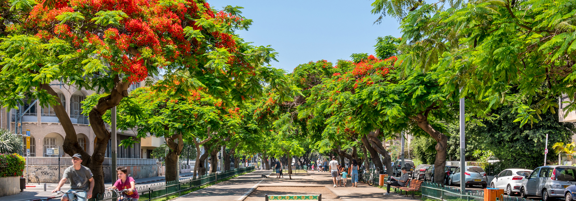 tel aviv israel_03