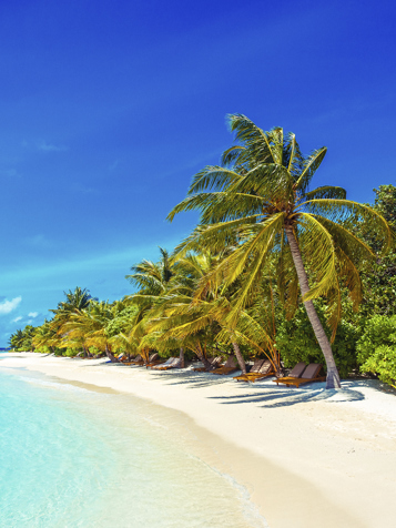 lily beach resort_strand_01