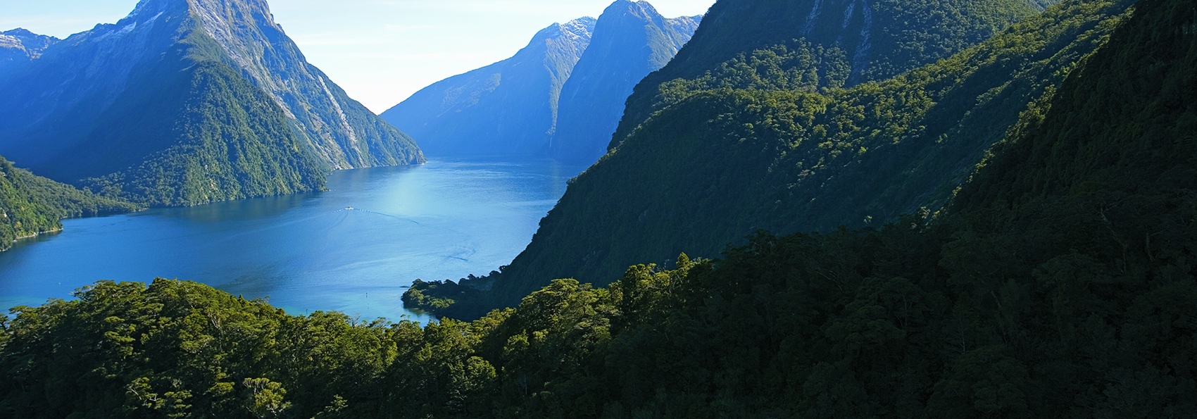 new zealand - newzealand_fiordland_04