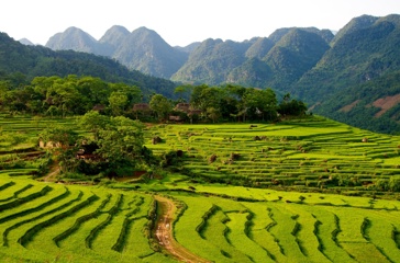 vietnam - pu luong_rismark_01