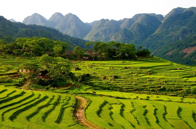 vietnam - pu luong_rismark_01