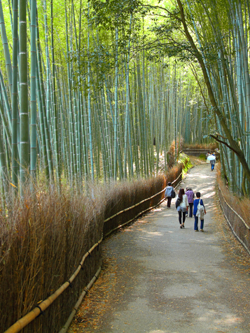 Bambusskov i Arashimaya