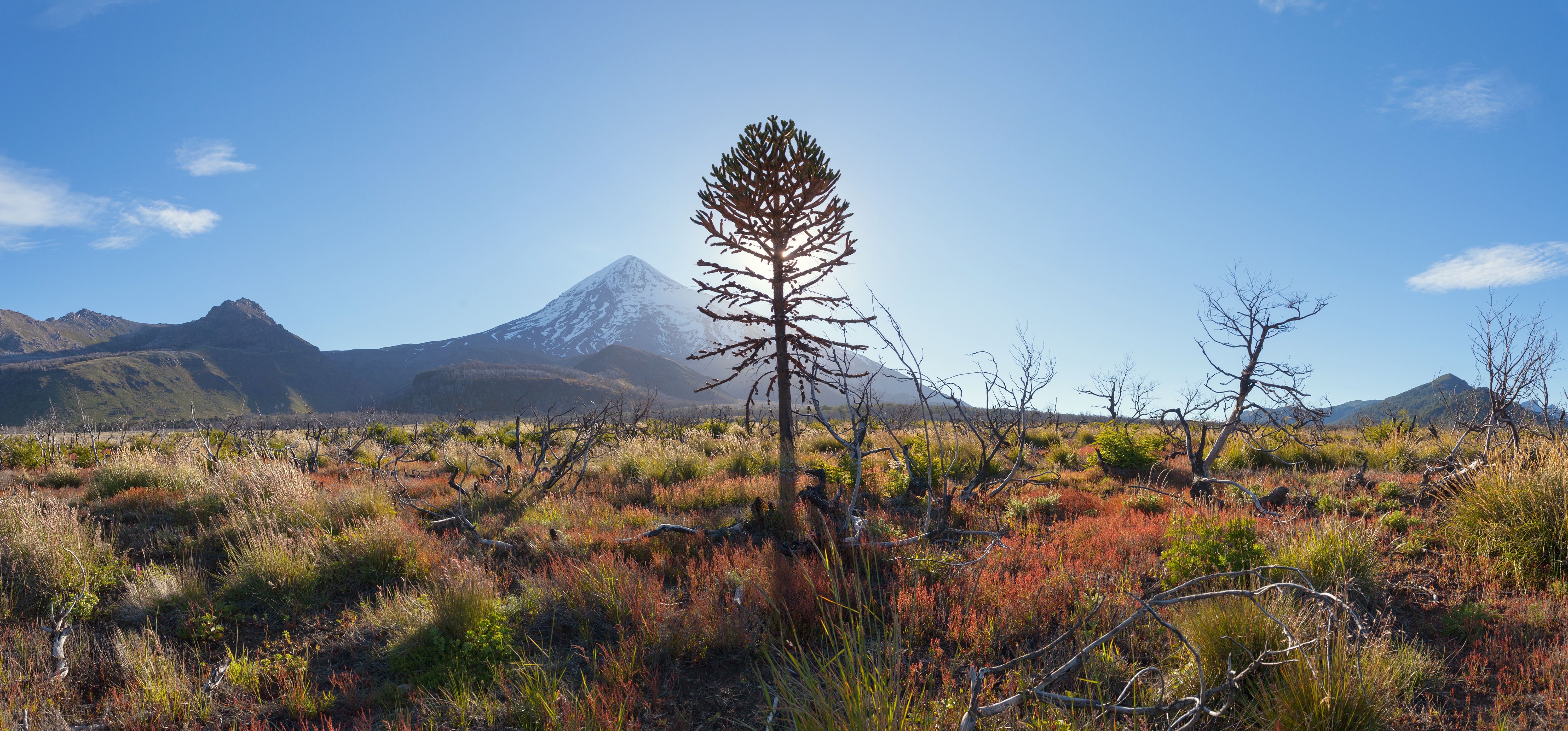 National Park Lanin San Martin De Los Andes