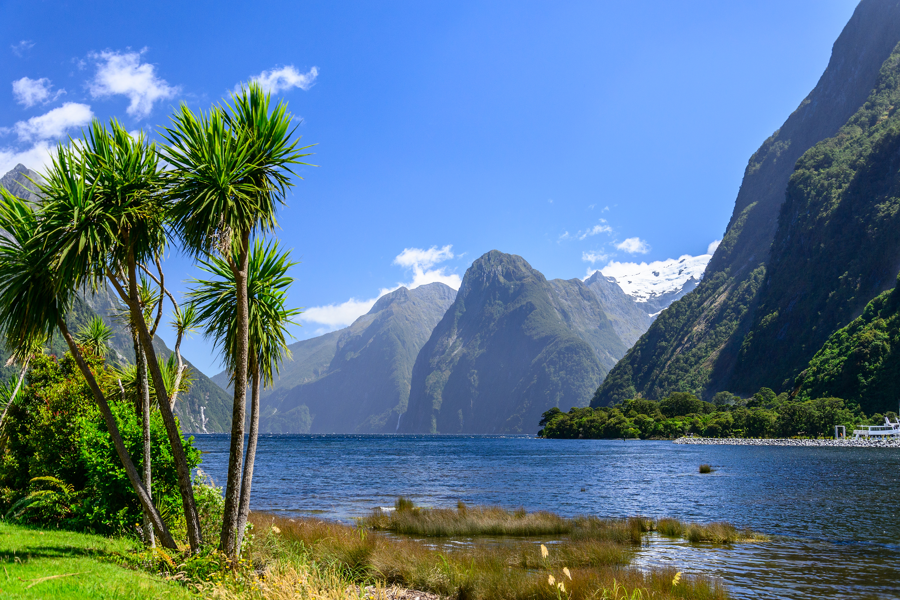 Vi sejler direkte ind i Milford Sound - det er en fantastisk naturoplevelse