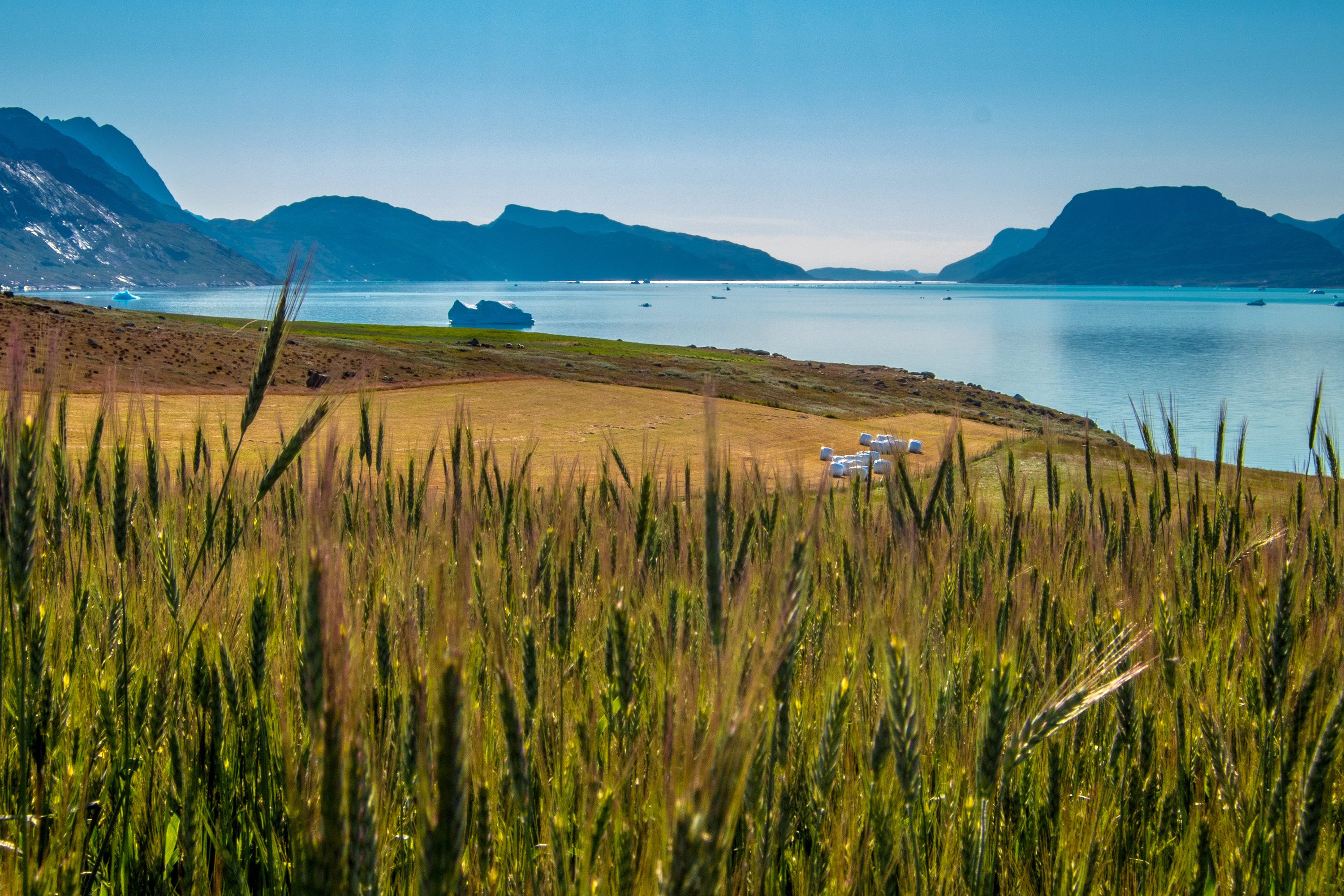 Igaliku As 210469344