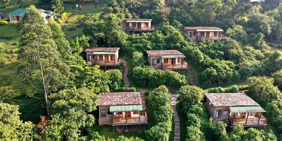 Haven Lodge Buhoma 1
