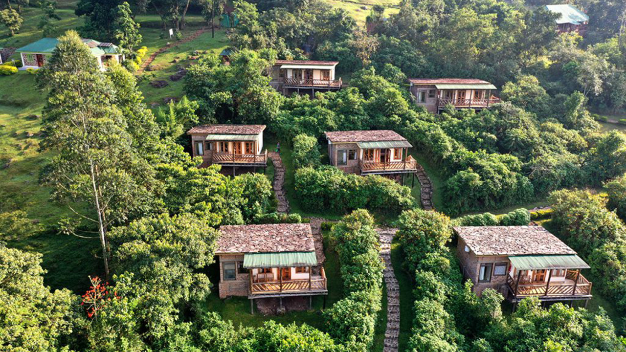 Haven Lodge Buhoma 1