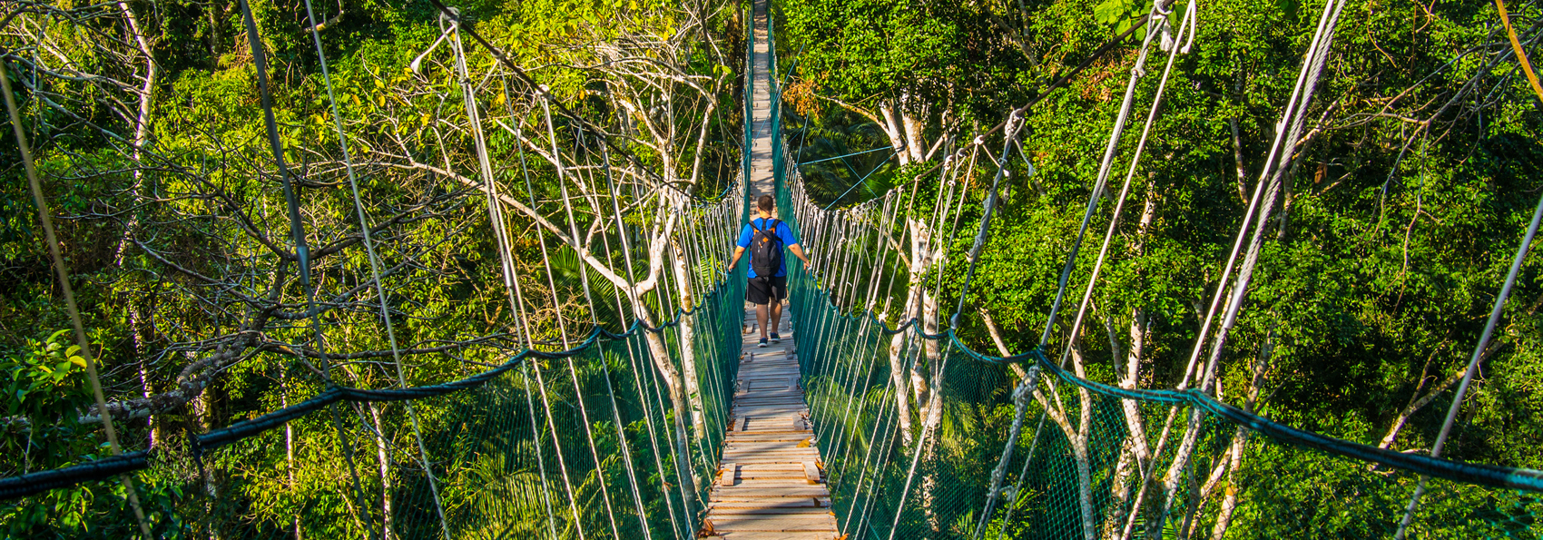 peru - amazonjunglen_walkway_02