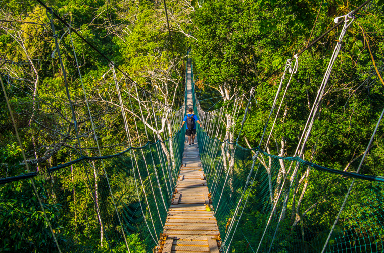 peru - amazonjunglen_walkway_02