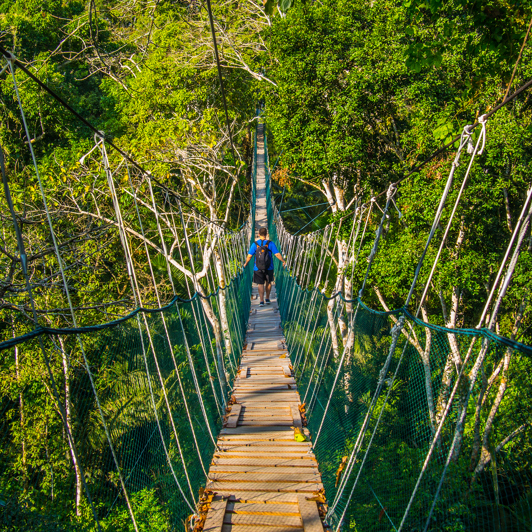 peru - amazonjunglen_walkway_02