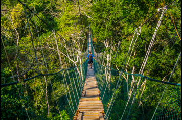 peru - amazonjunglen_walkway_02