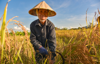 laos - luang prabang_land farm_02