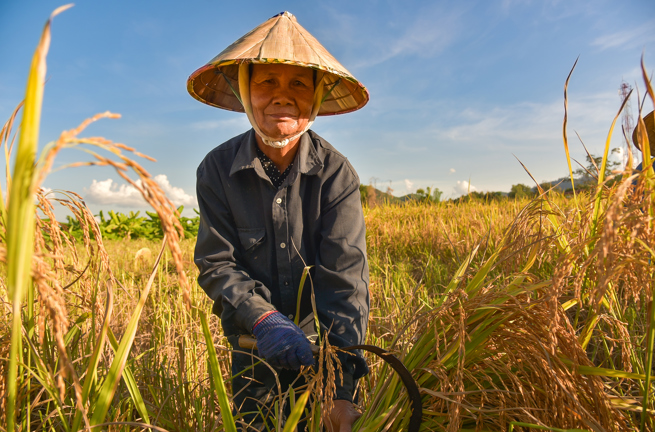 laos - luang prabang_land farm_02