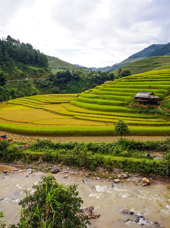 vietnam - mai chau_rismarker_04