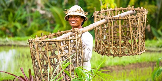 bali - bali_befolkning_mand_kurv_01_HF