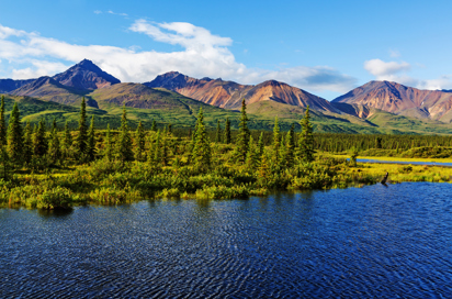 denali national park_soe_skov_02