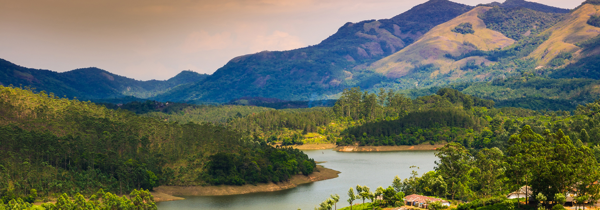 Munnar07