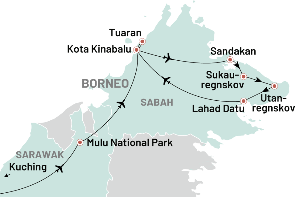 Betagende Borneo 2025