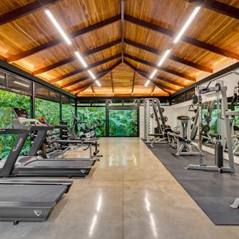 Jungle Fitness
