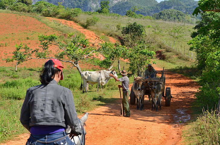 cuba - vinales ridning