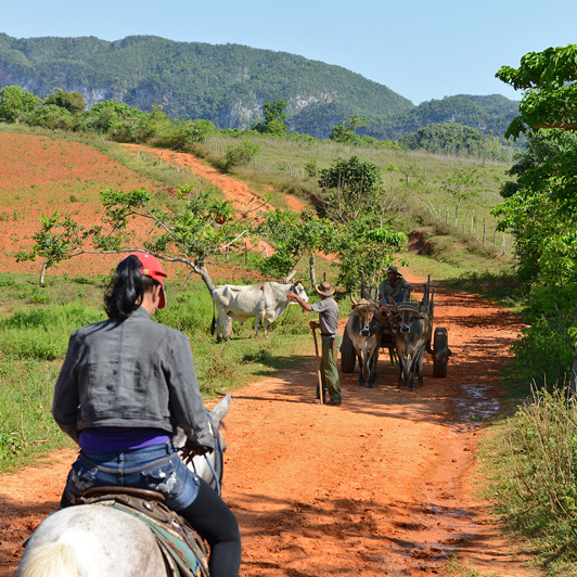 cuba - vinales ridning