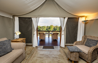 Rhino Tent
