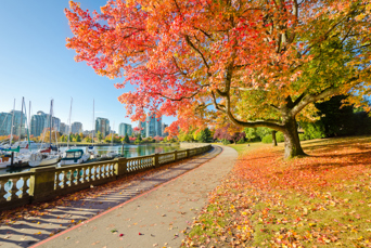 Rejsen slutter i smukke Vancouver