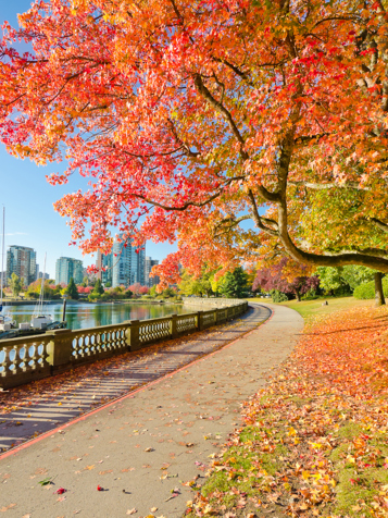 Rejsen rundes af i smukke Vancouver...