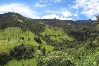 colombia - cocora dalen_bjerge_udsigt_07