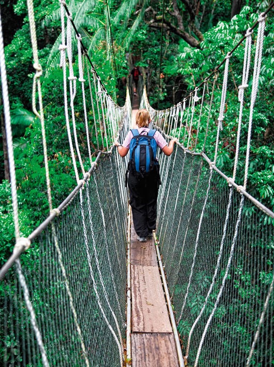 malaysia/borneo - taman negara national park_canopy bridge_01_hf