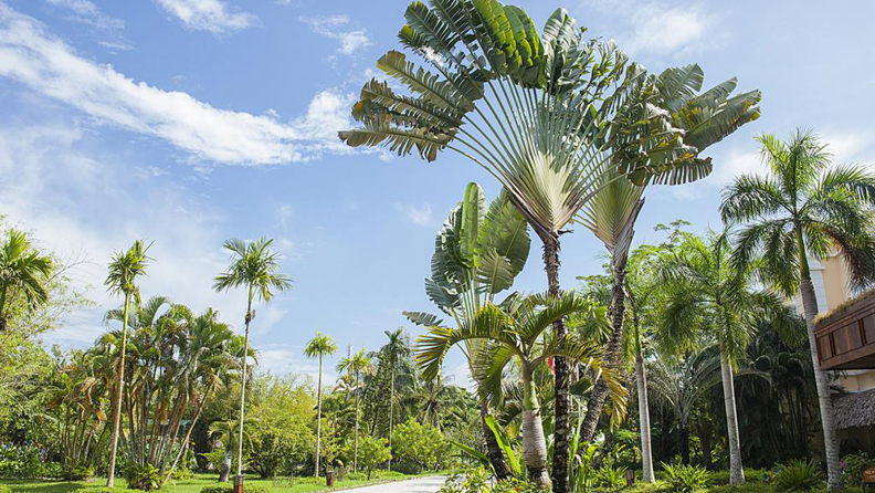 vietnam - victoria can tho_udendoersareal_01