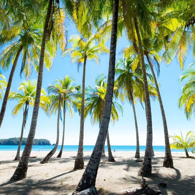 costa rica - carrillo beach_strand_01