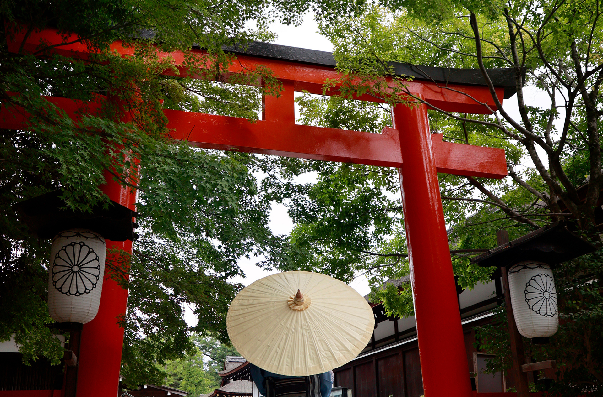 Kyoto Kamigamo Shrine As 2033584768
