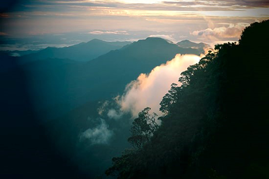 Borneo Park Hq Summit 01